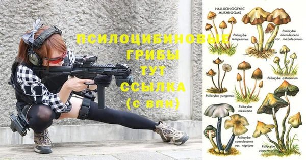 мяу мяу мука Киренск