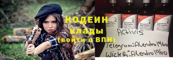 соль ск Козловка