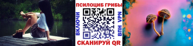 хочу наркоту  Миасс  Галлюциногенные грибы MAGIC MUSHROOMS 