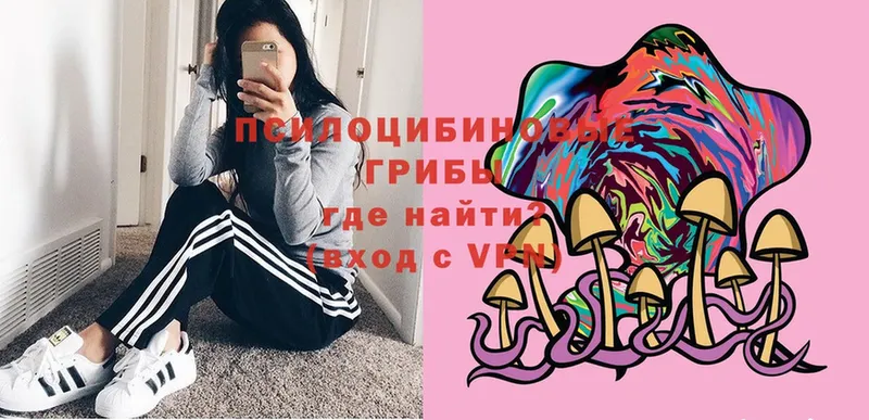 блэк спрут tor  Миасс  площадка наркотические препараты  Галлюциногенные грибы Psilocybine cubensis 