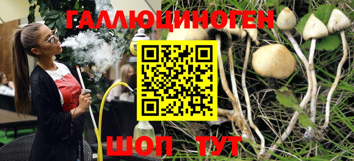 Миасс  Псилоцибиновые грибы Psilocybe  наркотики  Псилоцибиновые грибы Cubensis  Вход с VPN 