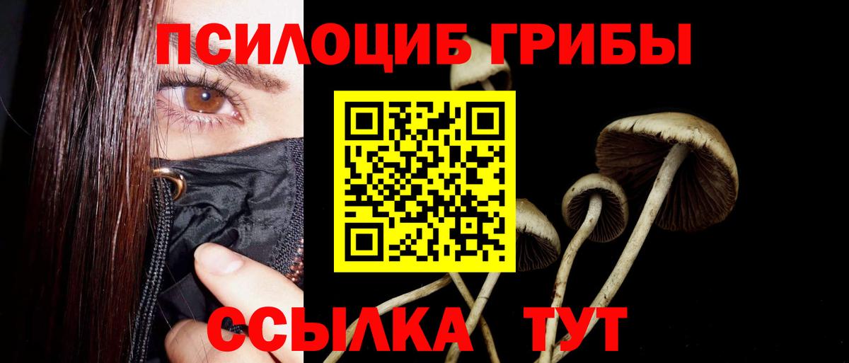 Псилоцибиновые грибы Cubensis Миасс