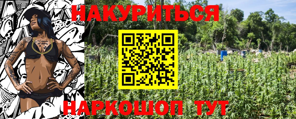 Шишки марихуана OG Kush  МАРИХУАНА Bruce Banner  Миасс  Вход с VPN  Бошки марихуана планчик 